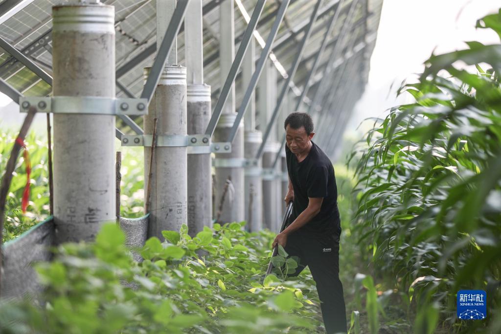 谁有浩博的网址